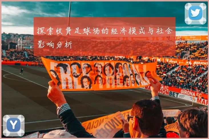 探索收费足球场的经济模式与社会影响分析