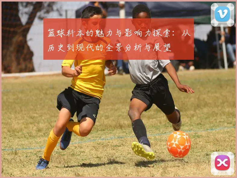篮球科本的魅力与影响力探索：从历史到现代的全景分析与展望