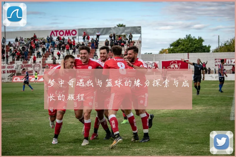 梦中奇遇我与篮球的缘分探索与成长的旅程